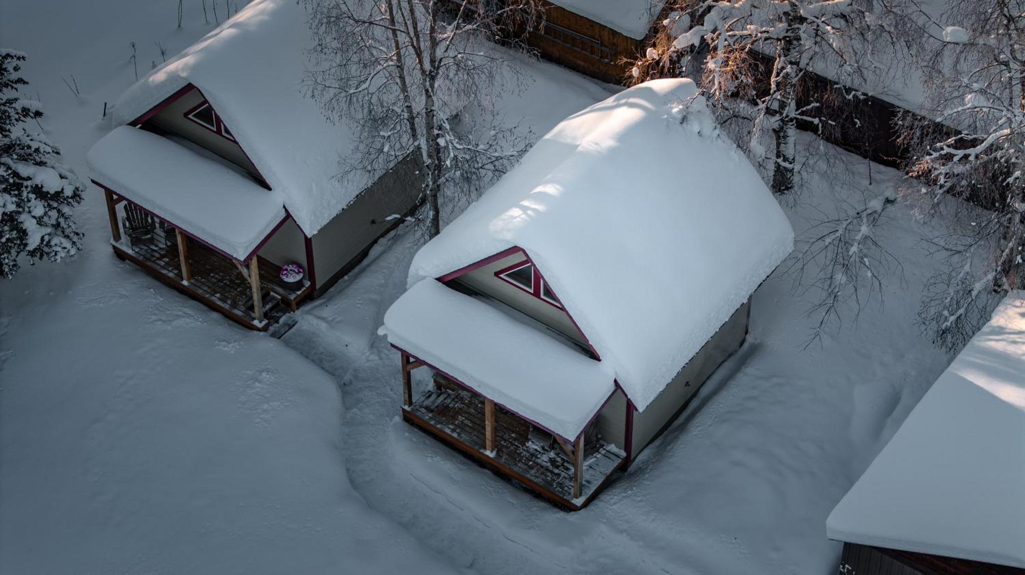 Downtown Talkeetna Cabin! Susitna Cabin Ngoại thất bức ảnh