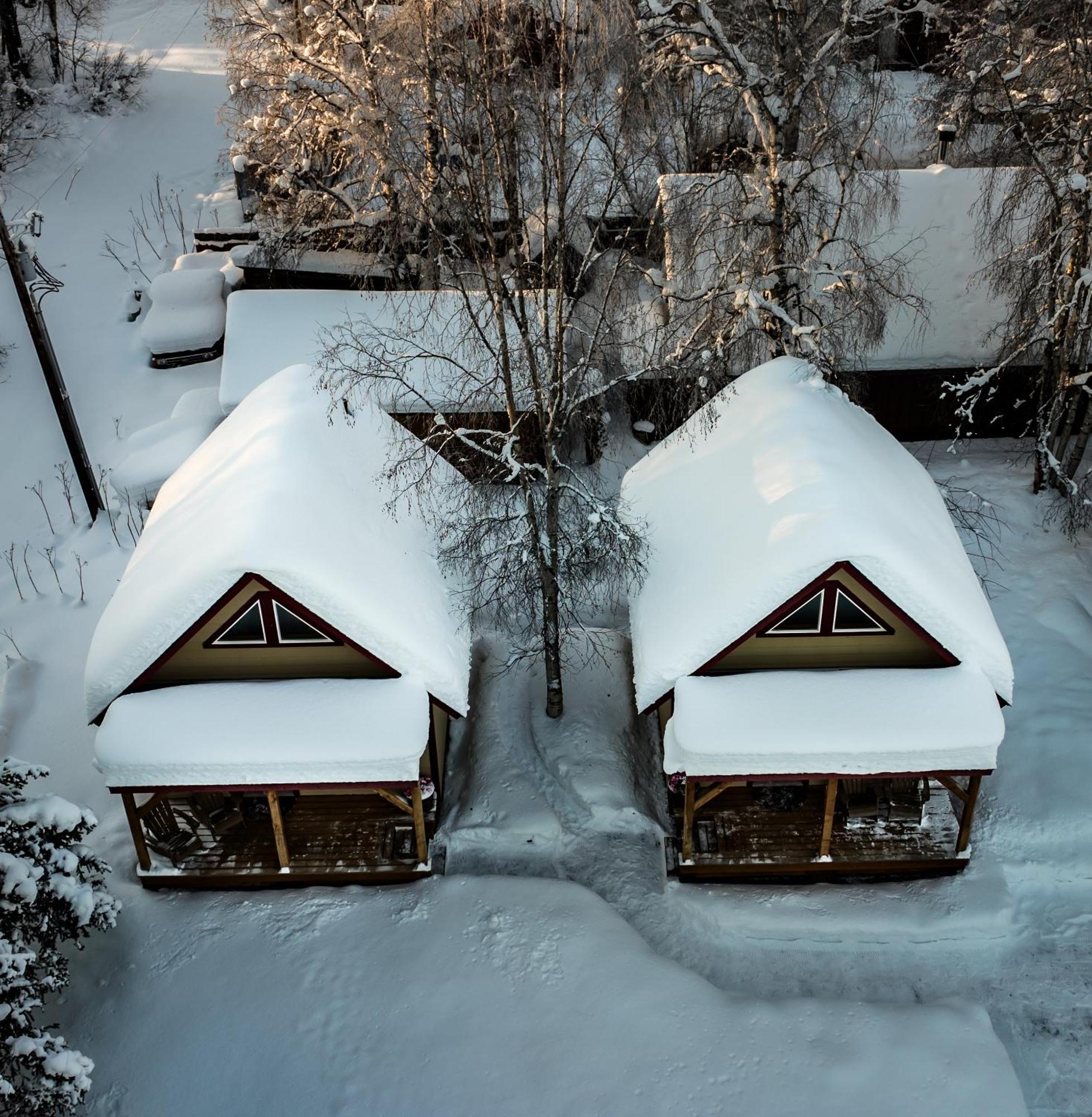 Downtown Talkeetna Cabin! Susitna Cabin Ngoại thất bức ảnh